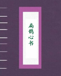 扁鹊心书
