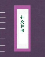 针灸神书