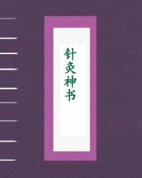 针灸神书