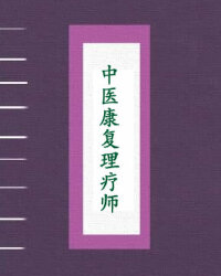 中医康复理疗师