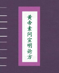 黄帝素问宣明论方