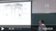 局部解剖学-浙江大学