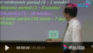 组织胚胎学-交大医学院