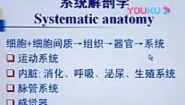 系统解剖学-中国医科大学