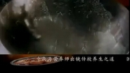 中华传世养生药膳
