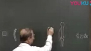 解剖学