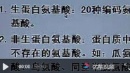 生物化学与分子生物学-中国医科大学