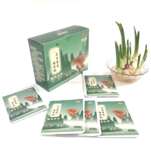 灵芝黄芪精萃粉