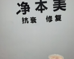净本美